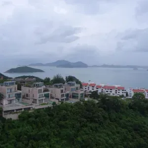 cooking and household chores