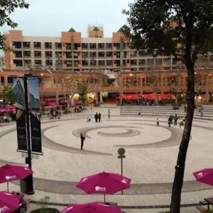 Looking for experienced helper