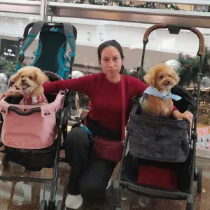 Domestic Helper / Household Helper