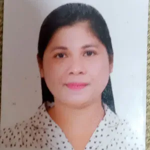 Domestic Helper