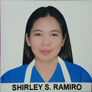 Domestic Helper/Babysitter