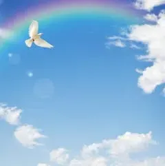 Looking for a helper