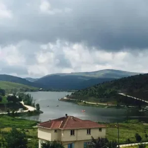 Help with housework and babysitting 