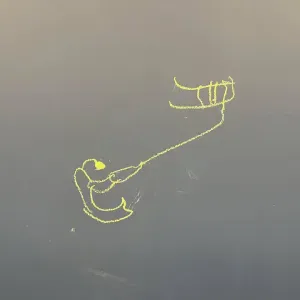 Experienced Helper Needed in Colombo, Sri Lanka 🇱🇰