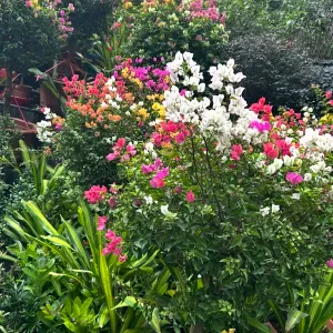 Looking for full time helper