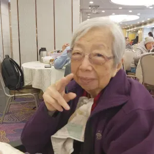 Domestic Helper for Elderly 