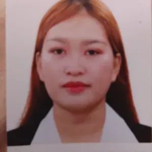 Domestic helper job application 