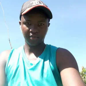 Domestic Helper/Babysitter