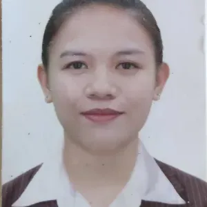 Domestic helper