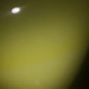 احنا أسرة مكونه من ٤ أشخاص وابحث عن مساعده تساعدني وتكون قاب