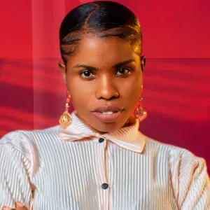 Professional Cleaner, Cook, Chef and Care giver 