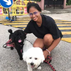 DOMESTIC HELPER / CHILD & PET CARE APPLICANT