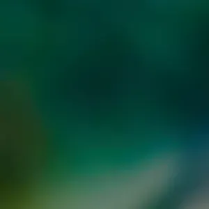 looking for helper who are good at cooking 