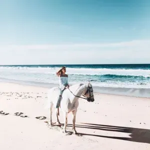 Looking for a house keeper