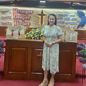Domestic helper