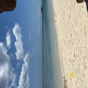 Looking for a helper- 4 years contract