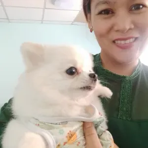 Babysitter