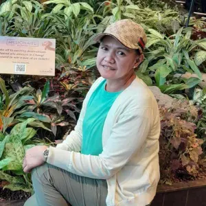  Experienced baby sitter, cleaning looking for a job 