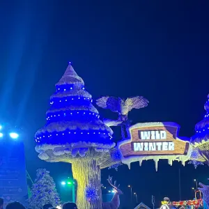 Looking for a household helper