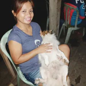 Domestic Helper