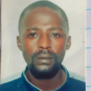 Experienced Light Duty Driver, Looking for a job in UEA .