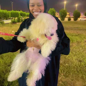 I'm the oldest girl in my family I love cooking and backing