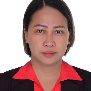 Domestic Helper