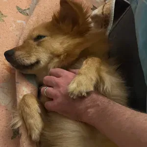 Welcoming a Good Hearted / Sporty Helper