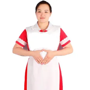 Housekeeper/domestic helper looking for a job!