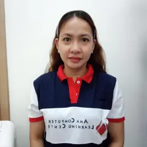 Domestic Helper