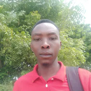 Professional cleaner and car washer 