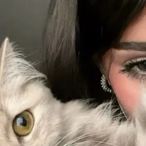 I am looking for a job in Madinah 