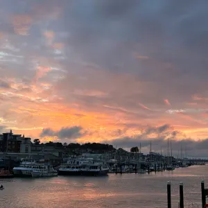 British & Chinese Family Looking for new helper *URGENT*