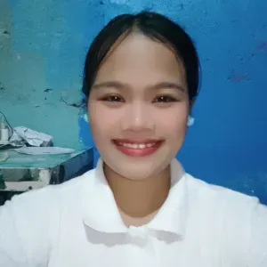 Experienced baby sitter and House helper looking for a job